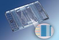 A typical microfluidic device